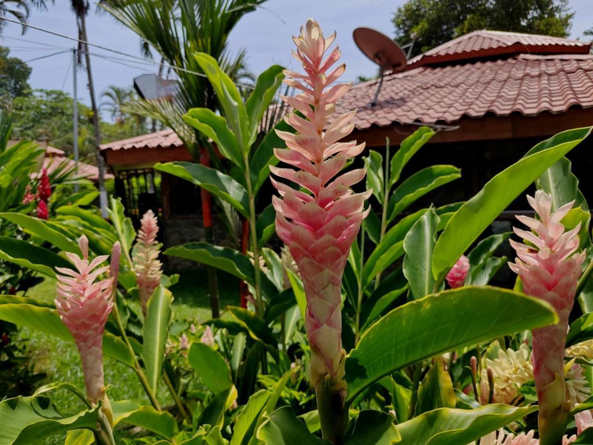 Bungalows Malu Cahuita Extérieur photo